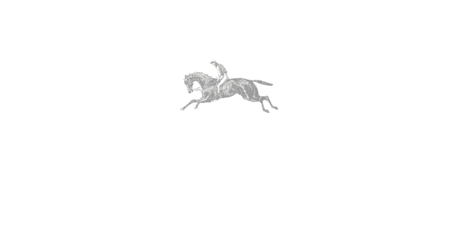 Prestige Ventures